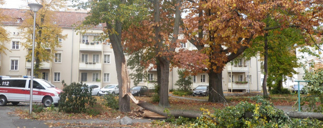 Sturmtief Hendrik fegt über die Lausitz